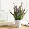 Morgan & Finch Lavender In Pot -Morgan & Finch Shop 18579301 P 3