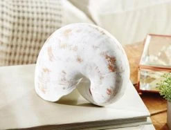 Morgan & Finch Nautilus Shell