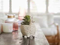 Morgan & Finch Llama Planter