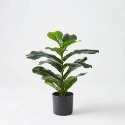 Morgan & Finch Real Touch Fiddle Leaf Tree 50cm