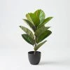 Morgan & Finch Real Touch Rubber Tree 58cm -Morgan & Finch Shop 21689801 P