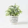 Morgan & Finch Nancy Pattern Pot And Plant 1 Morgan & Finch Nancy Pattern Pot And Plant -Morgan & Finch Shop 21691301 P